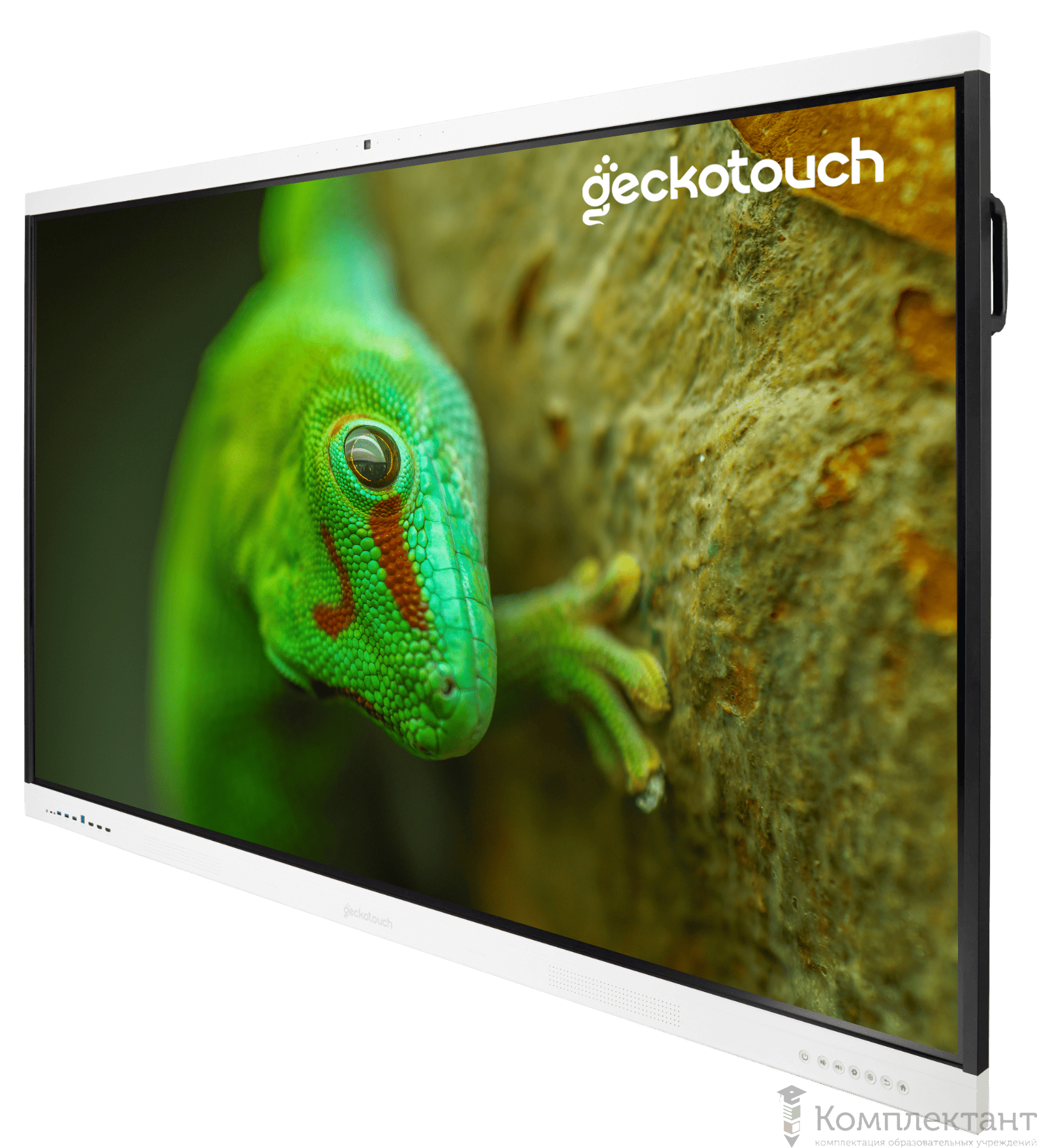 Интерактивная панель для школы Минпромторг Geckotouch 65RT