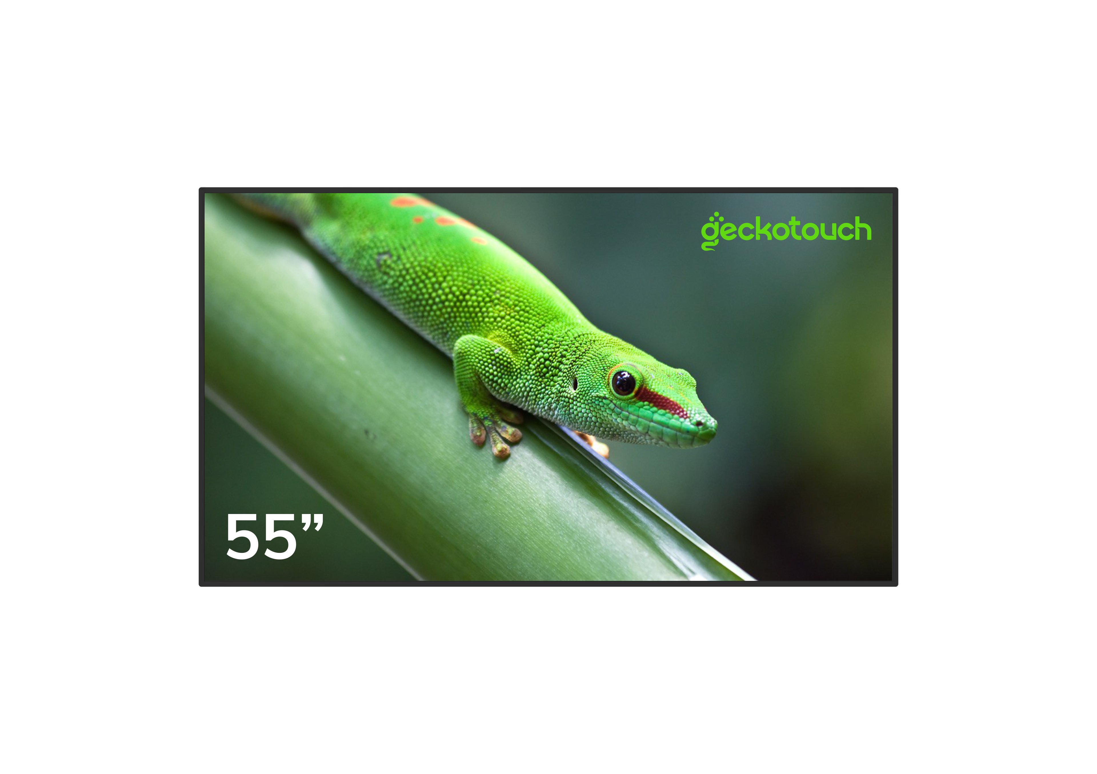 Профессиональный дисплей Geckotouch 55DH